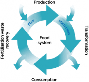 Food systeme cycle © INRAE